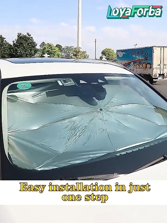 THATLILSHOP Interior Protection