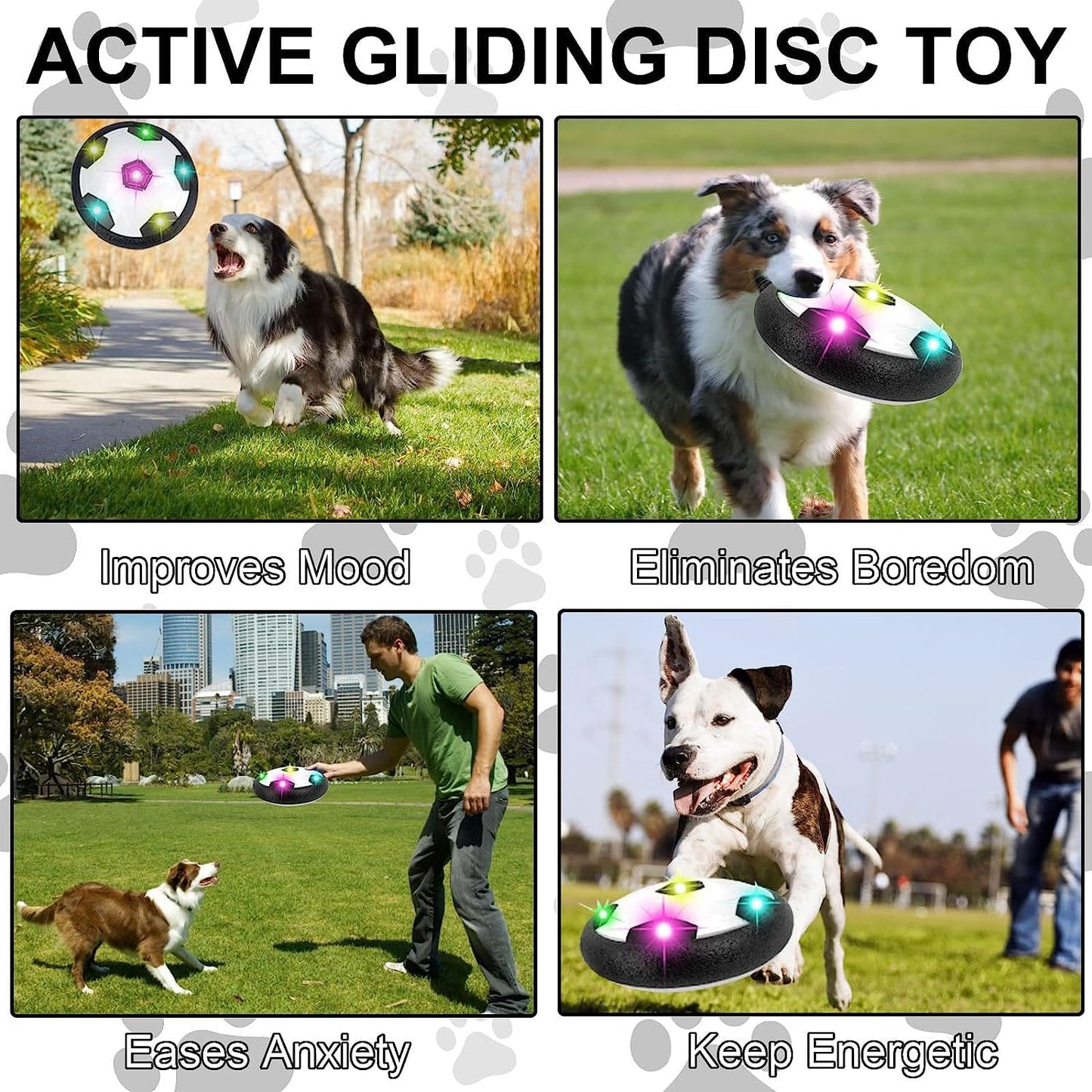 THATLILSHOP Active Gliding Disc (With Cool Lighting Effects)